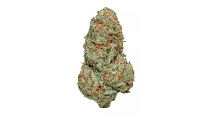 The Mike Tyson strain produces large, lumpy buds with a dense, compact structure typical of indica and indica dominant strains. The buds are lime green in colour with hues of purple and orange.