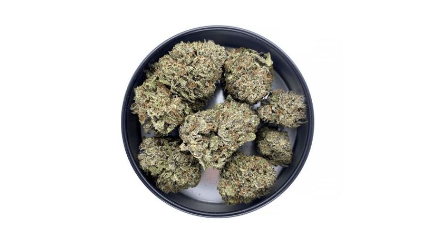 The Mike Tyson strain is one of the best heavy indica hybrids you can buy online in Canada today. It has a classic aroma and flavour that enthusiasts like and produces heavily relaxing effects.