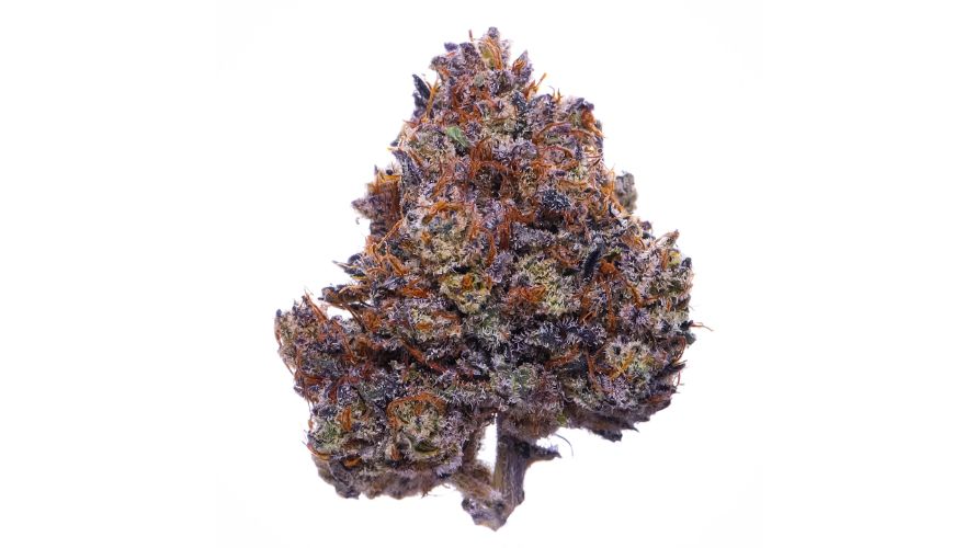 The Purple Haze strain is a popular cannabis bud made famous by the 1967 Jimi Hendrix hit by the same name. This strain is still popular today, more than five decades later.