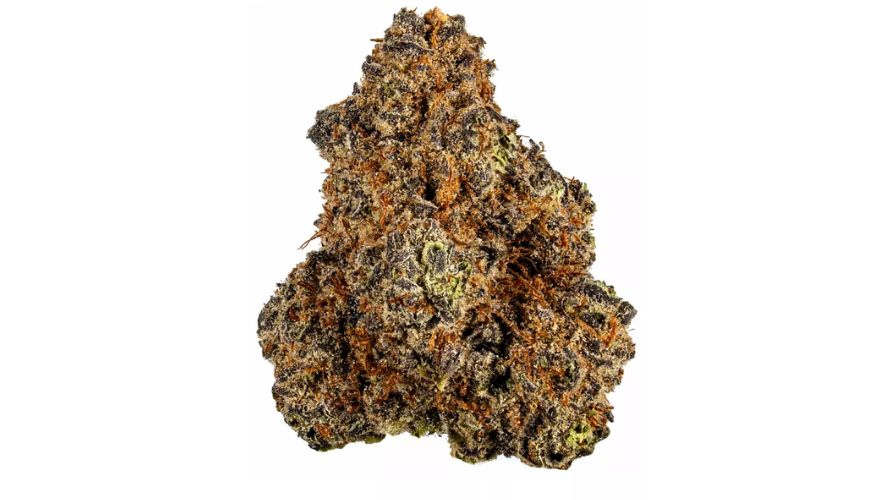 As mentioned above, it is generally agreed upon that Purple Haze weed is the result of a cross between Purple Thai and Haze. However, there’s been some claims that it’s a phenotype of the original Haze.