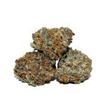 Rainbow Sherbert Popcorn AAAA