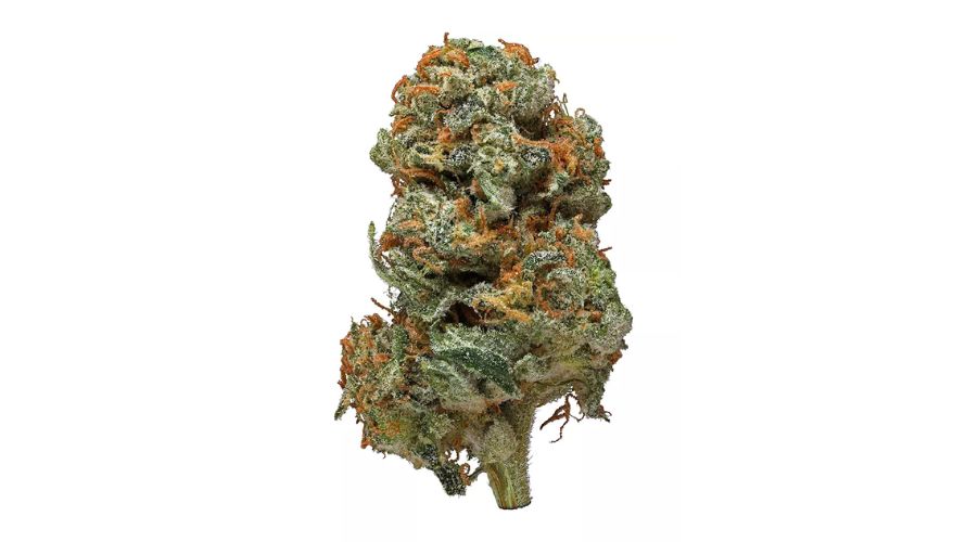 The Romulan strain is one of the BC buds every Canadian stoner must try. Enthusiasts who order weed online at our dispensary recommend it for evening consumption when unwinding.