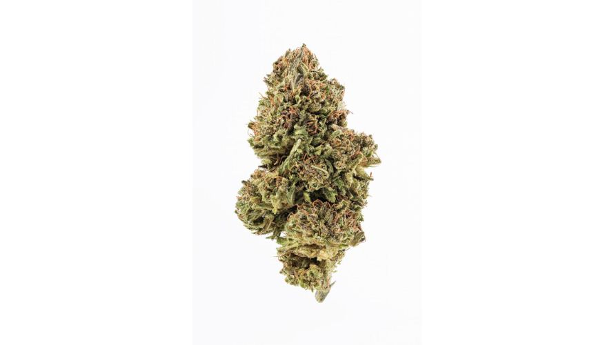 The Diesel Sour strain is one of the most sought-after buds at our dispensary. It has a classic, gassy aroma and flavour, highly invigorating effects and can be consumed in the morning during the day.