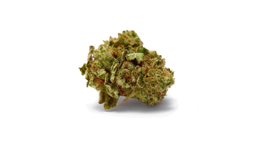 As mentioned above, the Diesel Sour strain is the result of two possible crosses. One theory suggests a cross between Chemdawg and Mexican Sativa; the other claims it is between Chemdawg and Mass Super Skunk.