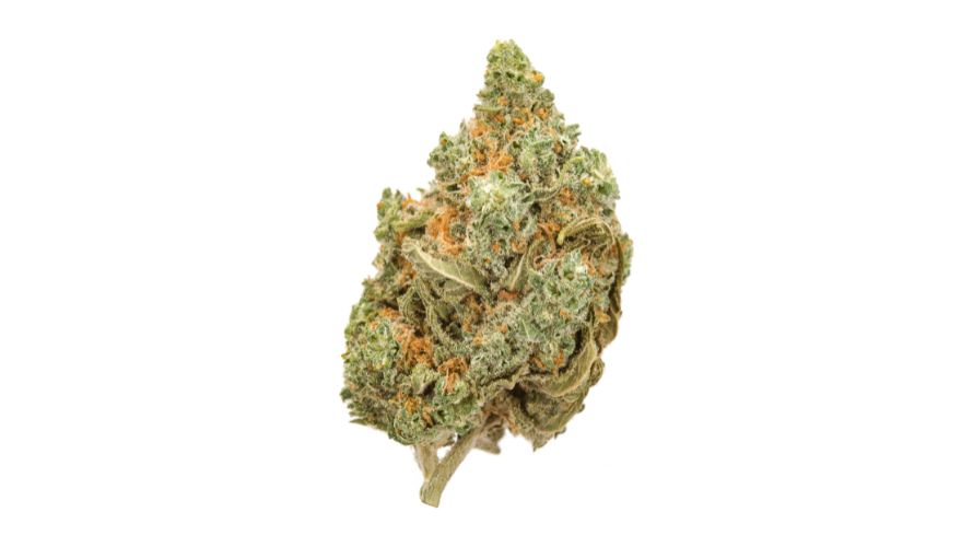 Is the Amnesia Haze strain indica, sativa or hybrid? Scroll through any BC bud online weed dispensary, and you will see that all strains are categorized as either sativa, indica or hybrid.