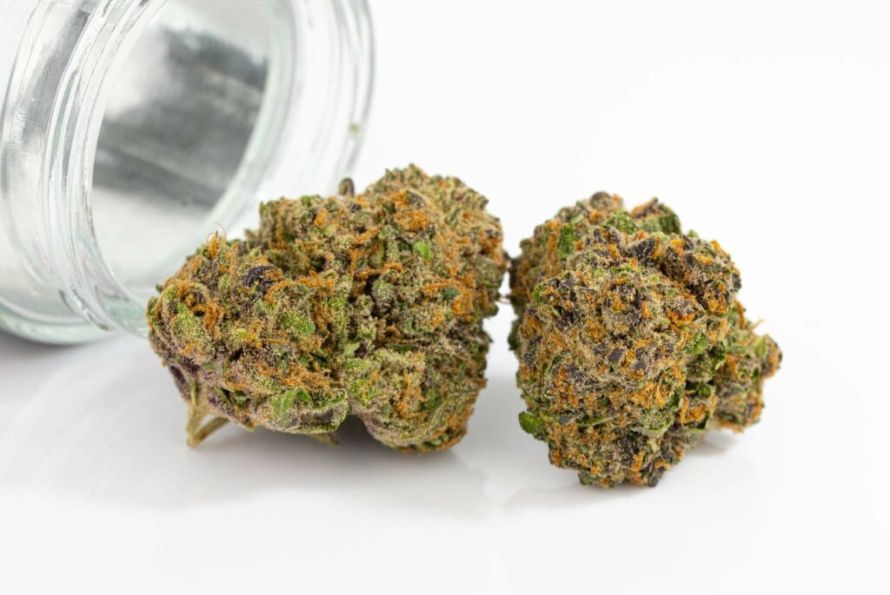 Looking for maximum value for money? Here are top 10 weed deals online that will get you more cannabis in your joint & more money in your wallet.