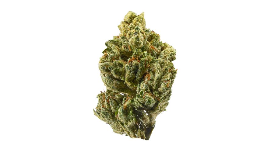 This strain produces bulbous, dense nugs. The buds are typically bright green to yellow-green in colour, with fiery orange hairs sticking out.