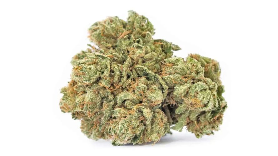 Explore our online weed store regularly to check if new deals have come up. Most of our deals on weed will be displayed on the homepage and our sale page so they are easily accessible.