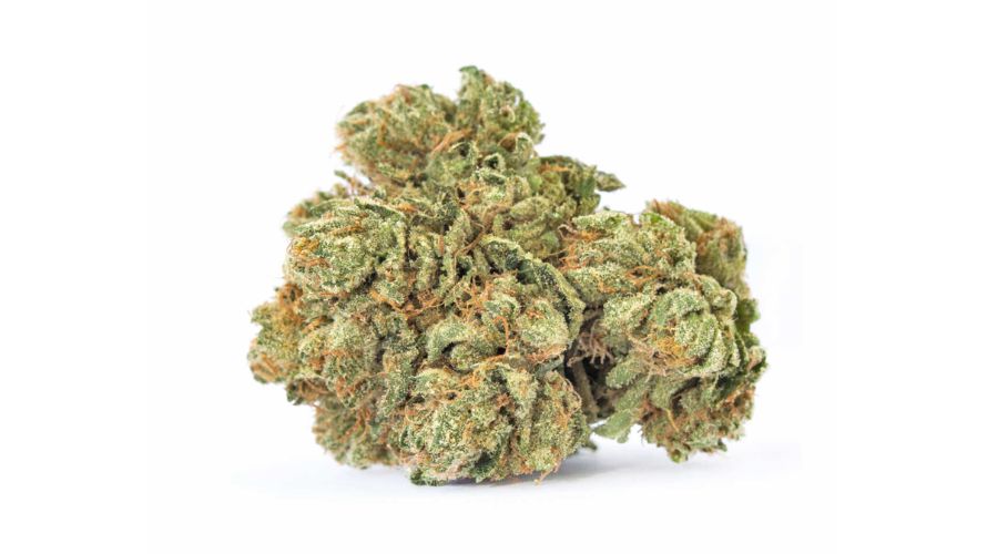 Wedding Cake has a rich, tangy flavour with a blend of peppery undertones. It can also help relieve medical symptoms such as chronic pain and loss of appetite.