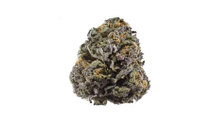 This strain has impressive THC levels ranging between 17% and 25%. Therefore, this classifies it within the upper potent class of cannabis strains.  