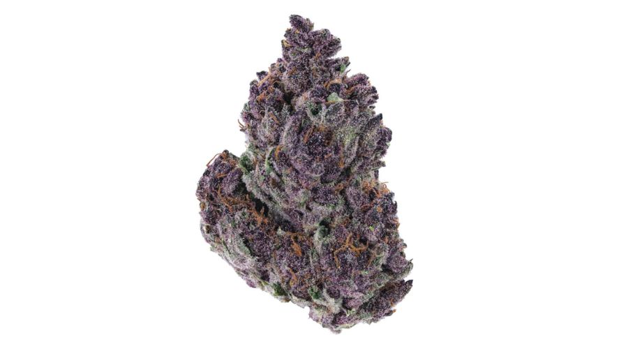 The Blue Dream bud comprises different strains contributing to its unique aroma and flavour profile. 