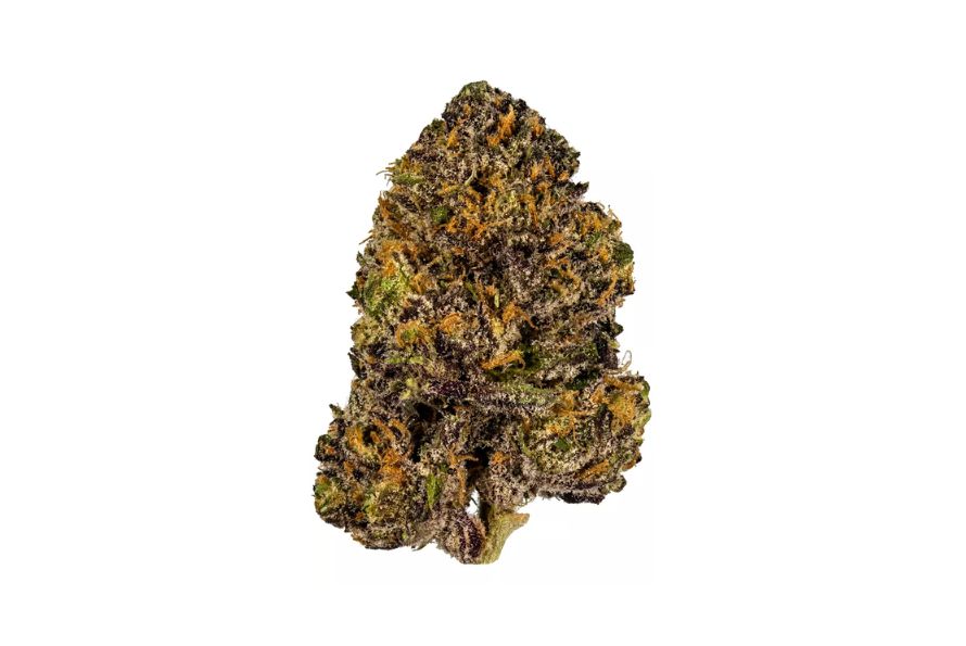 Blue Dream bud strain is not only a dream but your real cannabis “dream.” Dreaming about your best encounter with weed? Try out this strain today! 