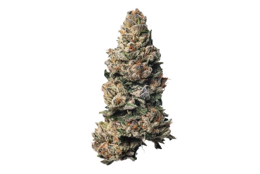 Cherry Pie strain is an iconic Indica at our online dispensary in Canada, featuring notes of sugar and cream. Explore its effects, terpenes, and more.