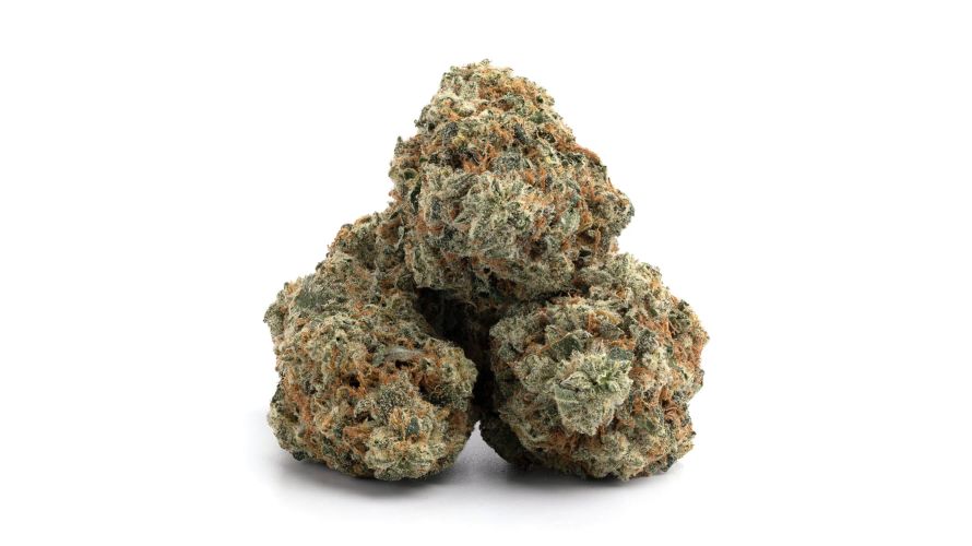 Yes, the Sour Diesel Sativa strain can make you feel horny. Many people recommend the hybrid for enhancing social connections, especially in romantic relationships.