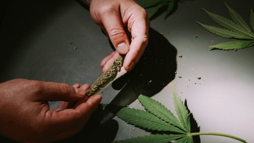 While the side effects of a cannabis overdose aren't as severe as if you consume excessive alcohol or opioids, the discomfort can wreck the sesh fast. 