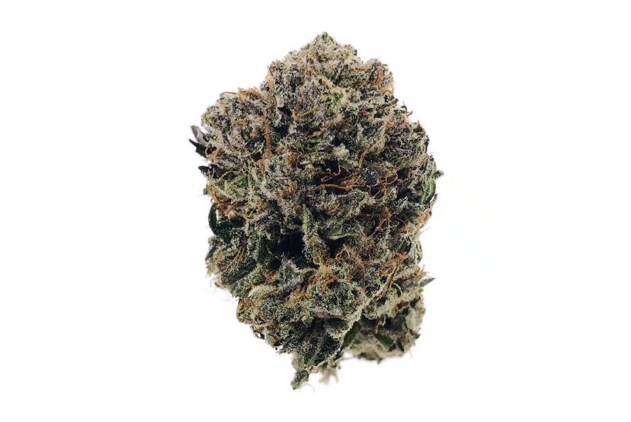 This review of Sativa Sour Diesel explores THC content, recreational effects & where to buy online in Canada. Click for your next favourite Sativa!