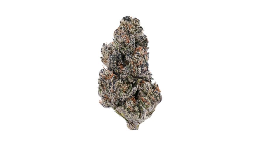 The Maui Wowie strain is one of the most aromatic and flavourful strains available at Chronic Farms. 