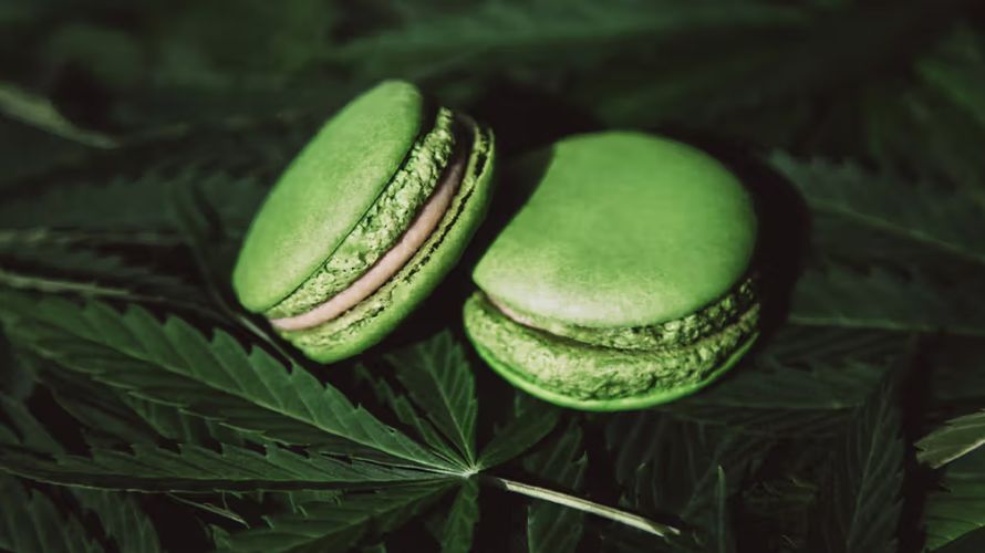 If you have a desire for classic weed cookies and other products that smell and taste like they're freshly baked, check this category.