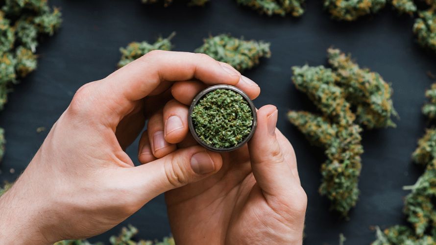 First, let's chat about what a weed overdose or a cannabis "OD" means. It's one of the biggest concerns of beginner cannabis users who aren't sure about dosages and the possible adverse effects of using too much weed.