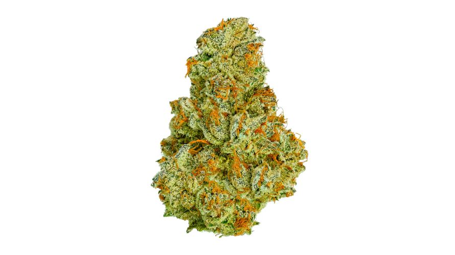 Strains are generally categorized into Indica weed, Sativas, and hybrids. Most strains belong to the hybrid category, just like Sour Diesel Sativa. As its name reveals, the Sour Diesel Sativa strain is Sativa: an almost pure one, in fact!