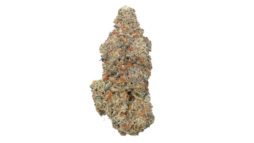 While buying weed physically is fine, it's always wiser to order online. BC bud online is high in cannabinoid content, and the terpenes remain intact. The prices are generally lower online, with lots of opportunities to save money.