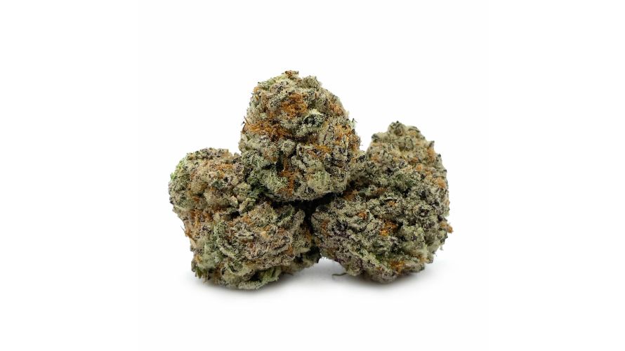 Seed Junky has been celebrated for producing some of the highest quality and most innovative weed strains available when you buy weed online in Canada.