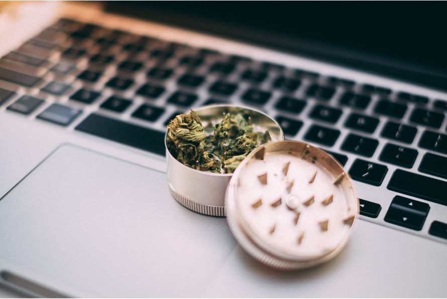 New to buying cannabis online in Canada? Discover how to determine the quality of online cannabis & tips on finding the best weed at a dispensary.