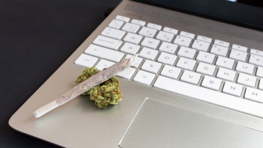 Online cannabis in Canada has evolved significantly since. For starters, we no longer use ARPANET, which was a precursor to the internet as we know it today, and anyone can buy weed online in Canada.