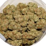 Space Queen AA Bag