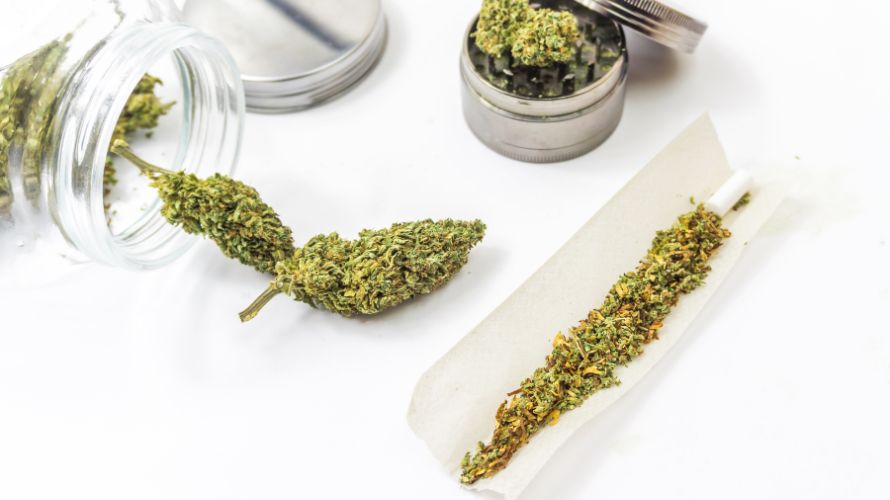 The Purple Punch strain is one of the rarest buds in Canada. If you are looking to get some in your hands, Chronic Farms, the leading online weed dispensary in the country, is your best option.