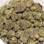 Dirty Rhino AAA Bag