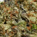 Dirty Rhino AAA Trichomes