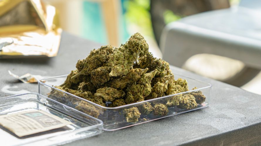 Terpenes are organic compounds found in plants that determine their taste and aroma. These compounds are responsible for each strain's unique aroma and flavour.