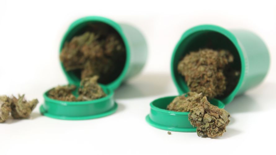 As mentioned, Purple Punch is the offspring of two celebrity strains, Larry OG and Grand Daddy Purps. These two are legendary buds in their own right.