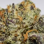 Sour Candy AA Trichomes
