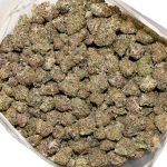 SPACE QUEEN POPCORN 4A
