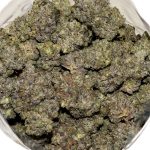 Blueberry Kush AAAA+ Bag