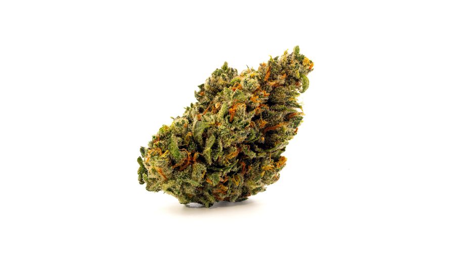 Chronic Farms has become a top choice for stoners looking for premium weed like the Jack Herer strain.