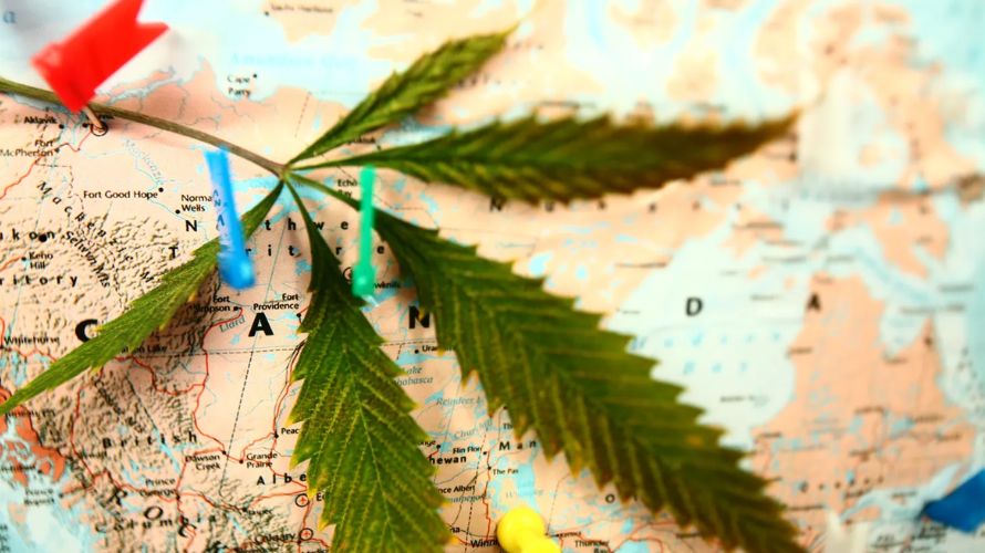 If you’re curious about flying with weed in Canada, you must abide by both federal and provincial cannabis transportation rules.