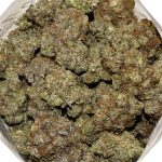 Couch lock AAAA+ Bag