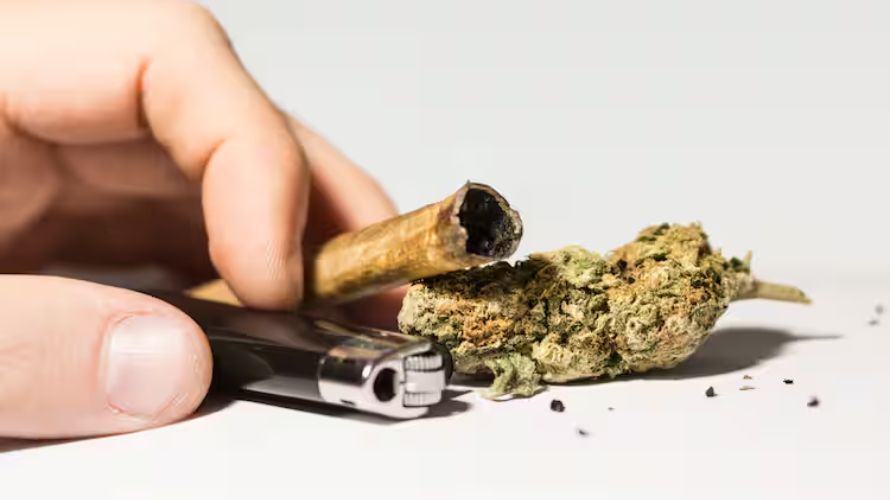 Advanced machine learning algorithms will help online dispensaries analyze customer preferences, purchase history, etc.