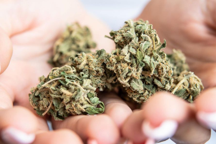 Shop premium indica bud from a trusted source. Potent indicas, lab-tested for quality, delivered discreetly to your door. Order now for the best deals!