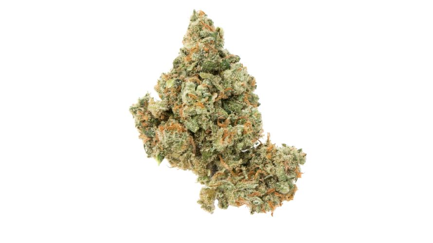 Jack Herer is the perfect wake-and-bake strain, enabling you to start the day on a high note and be ready to tackle all the challenges.