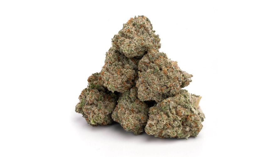 The Jack Herer strain is the brainchild of White Label Seed Company, a well-renowned Dutch company.