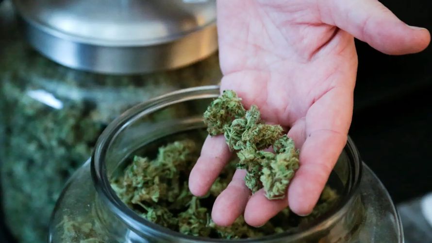 Reputable online pot dispensaries in Canada, like Chronic Farms, only stock high-quality and effective weed products free from contaminants and heavy metals.