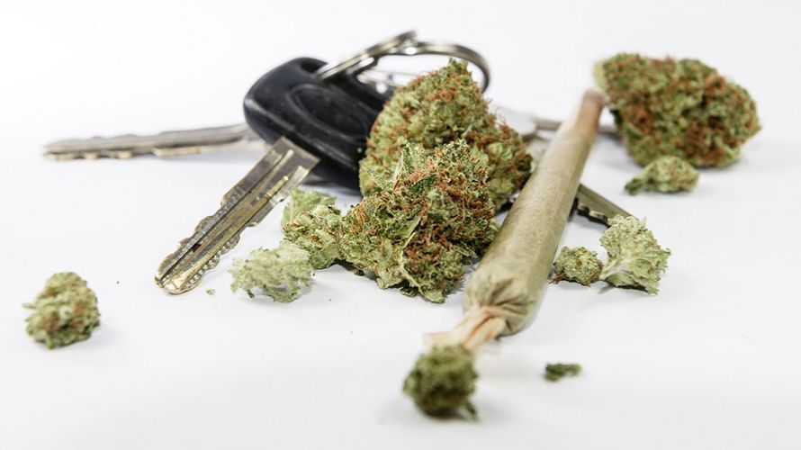 Now that you know the cannabis and driving laws in Canada let’s take a look at how cannabis affects driving ability.