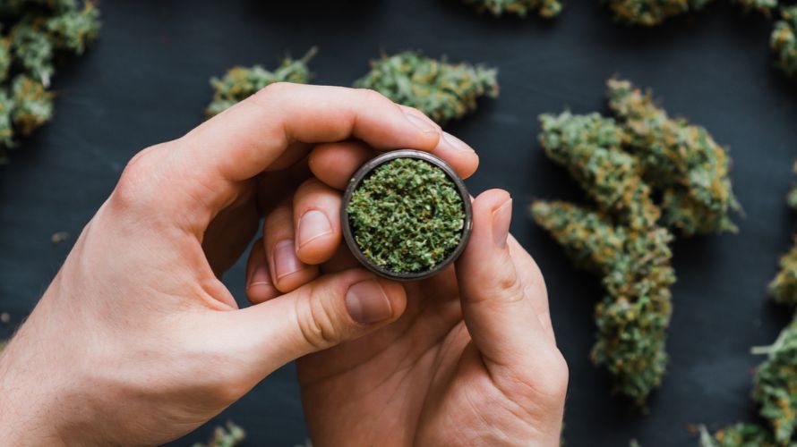 Order weed online from us, choose indica pot strains and see your life transform for the better.