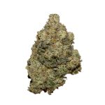 Super Silver Haze AA