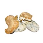 Hillbilly Pumpkin – Shrooms 1