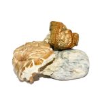 Hillbilly Pumpkin – Shrooms